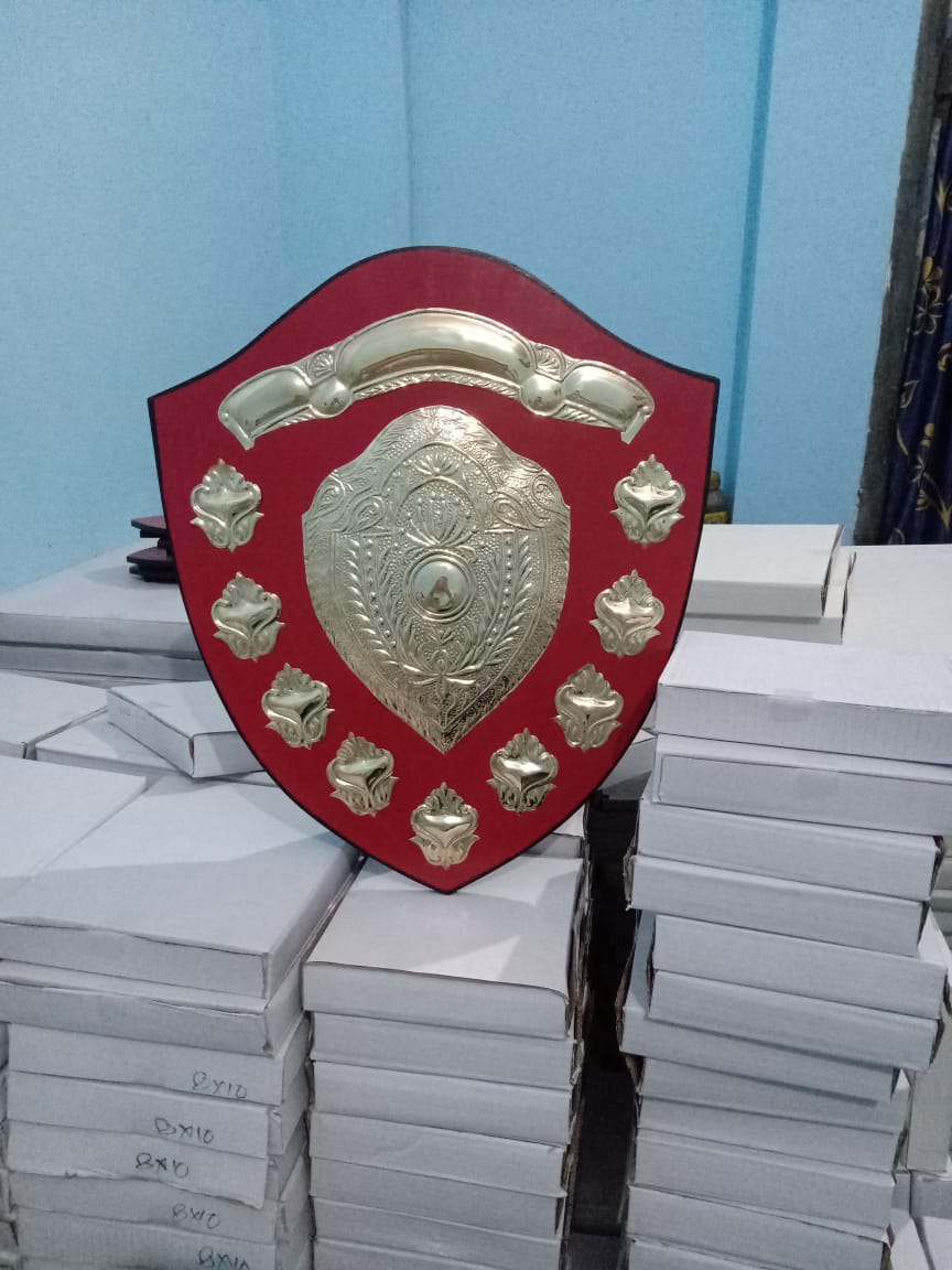 17 x 20